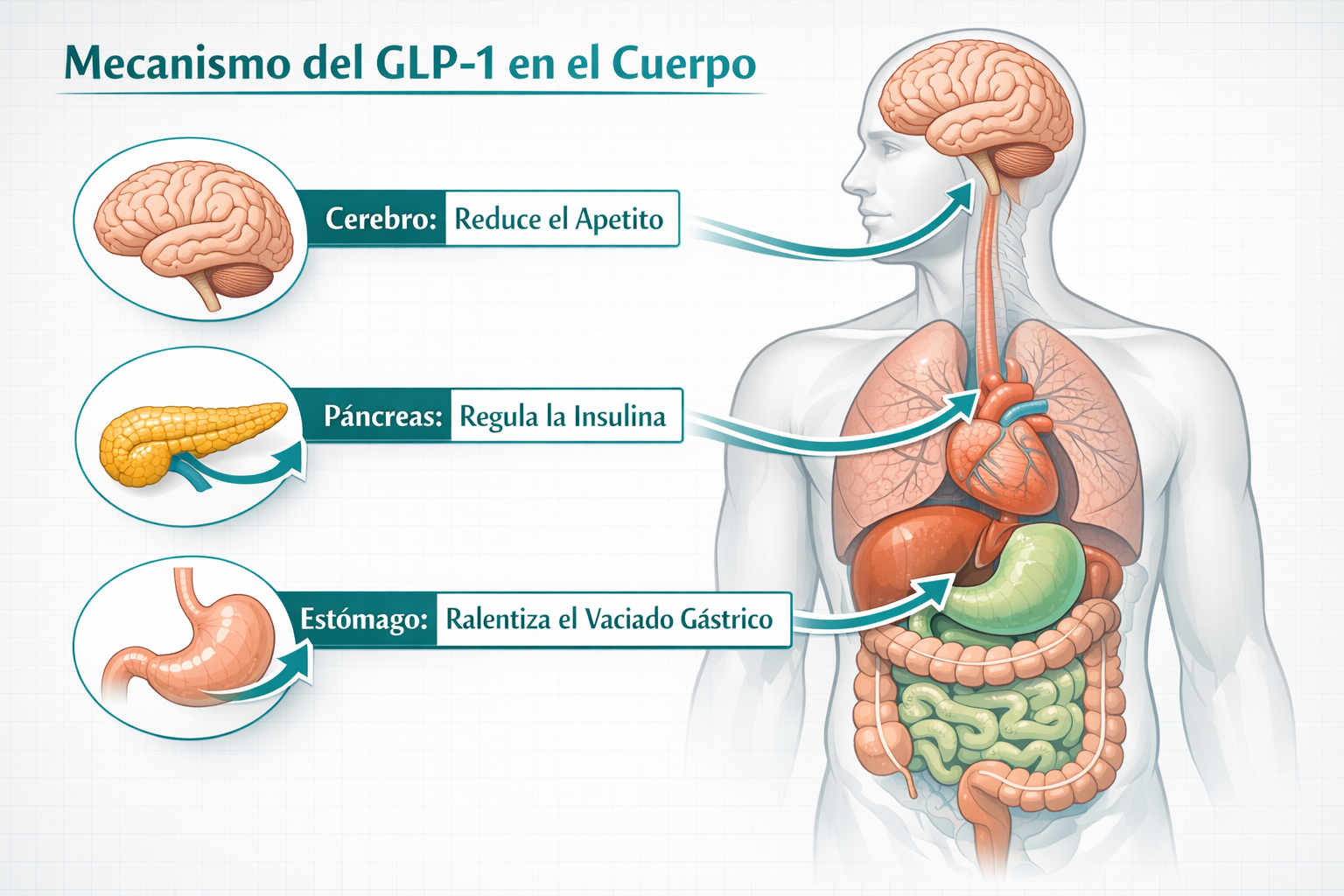 CRITICAL: ALL text, labels, headlines, annotations, and overlays in this image MUST be written in SPANISH. Do NOT use any